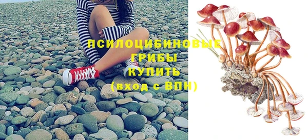 spice Волоколамск