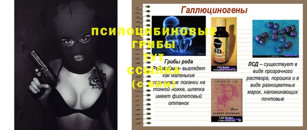 spice Волоколамск