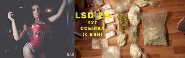 apvp Верея