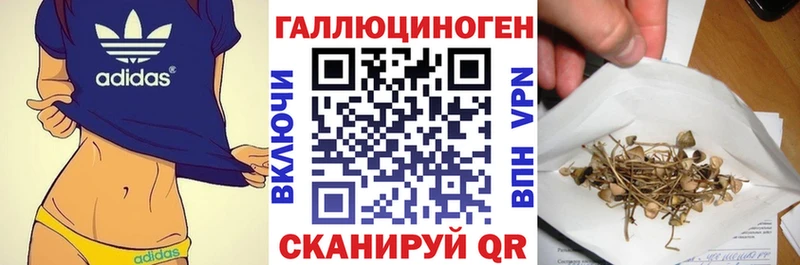 Псилоцибиновые грибы мицелий  дарнет шоп  Искитим 