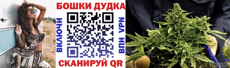 Каннабис SATIVA & INDICA  закладки  блэк спрут ссылка  Искитим 
